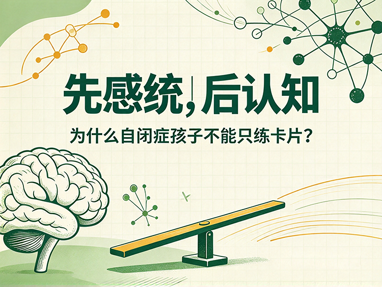 早教最大的坑｜盲目堆认知，害了自闭症孩子